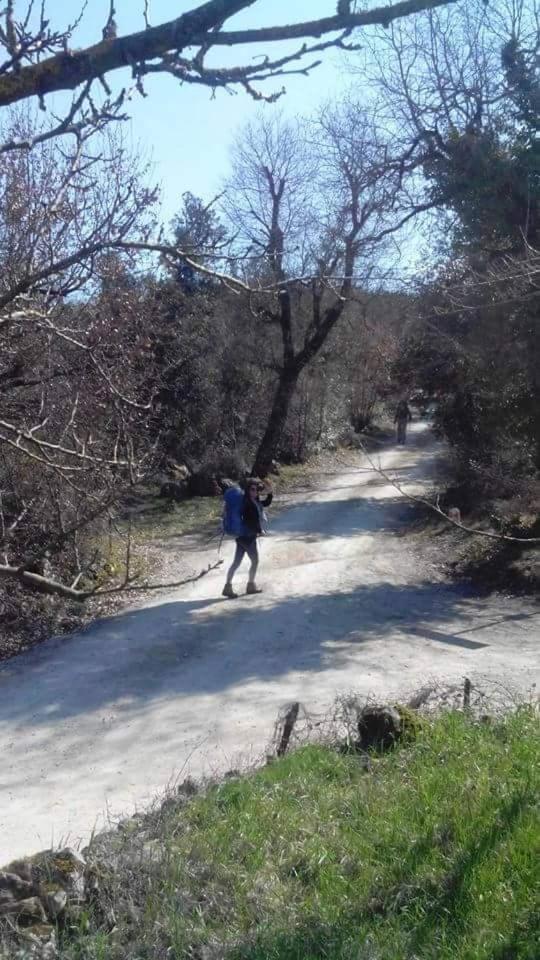 Affittacamere La Casella Monteriggioni Kültér fotó